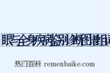 眼与全身疾病鉴别诊断图谱组词是什么意思的图片